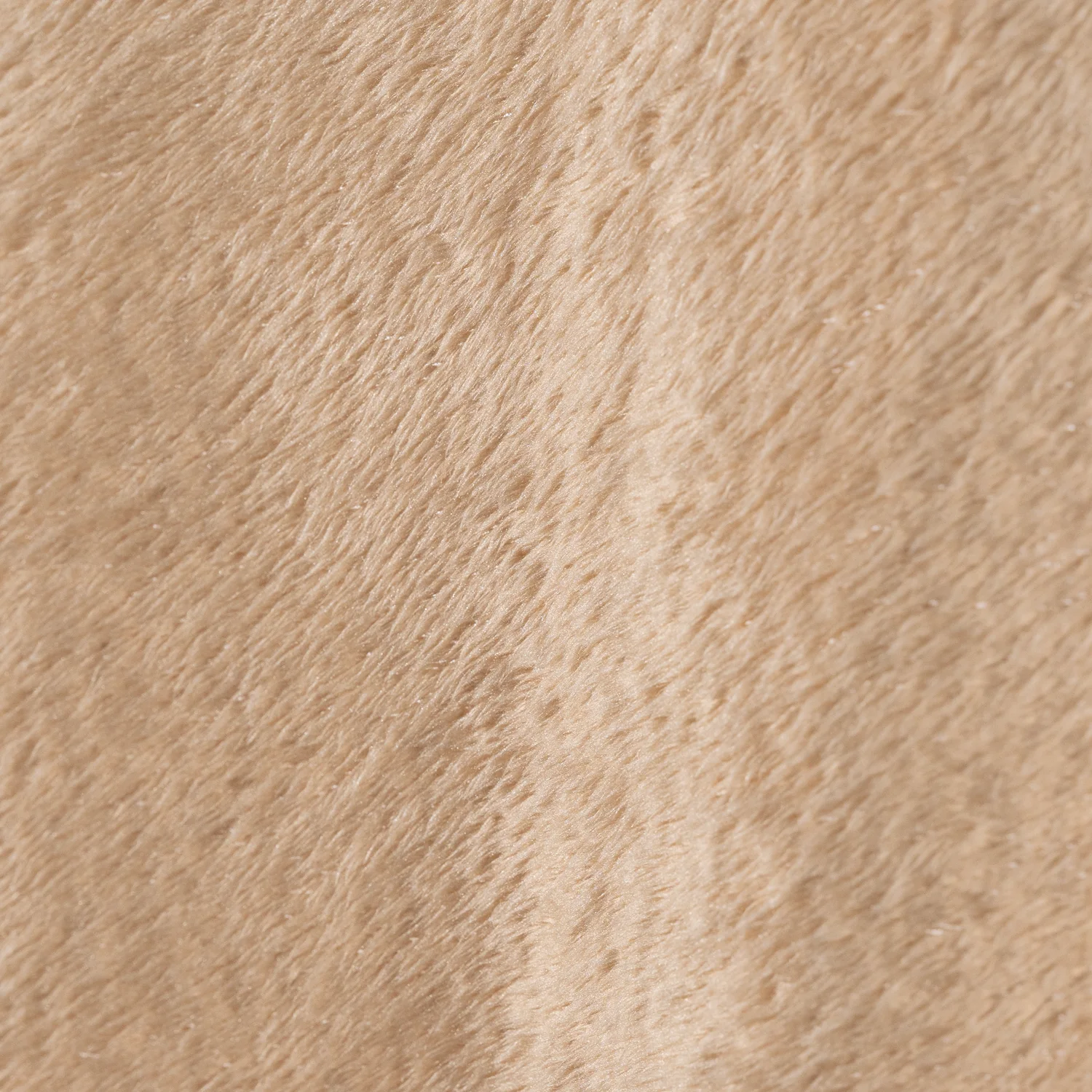 VELBOA 34